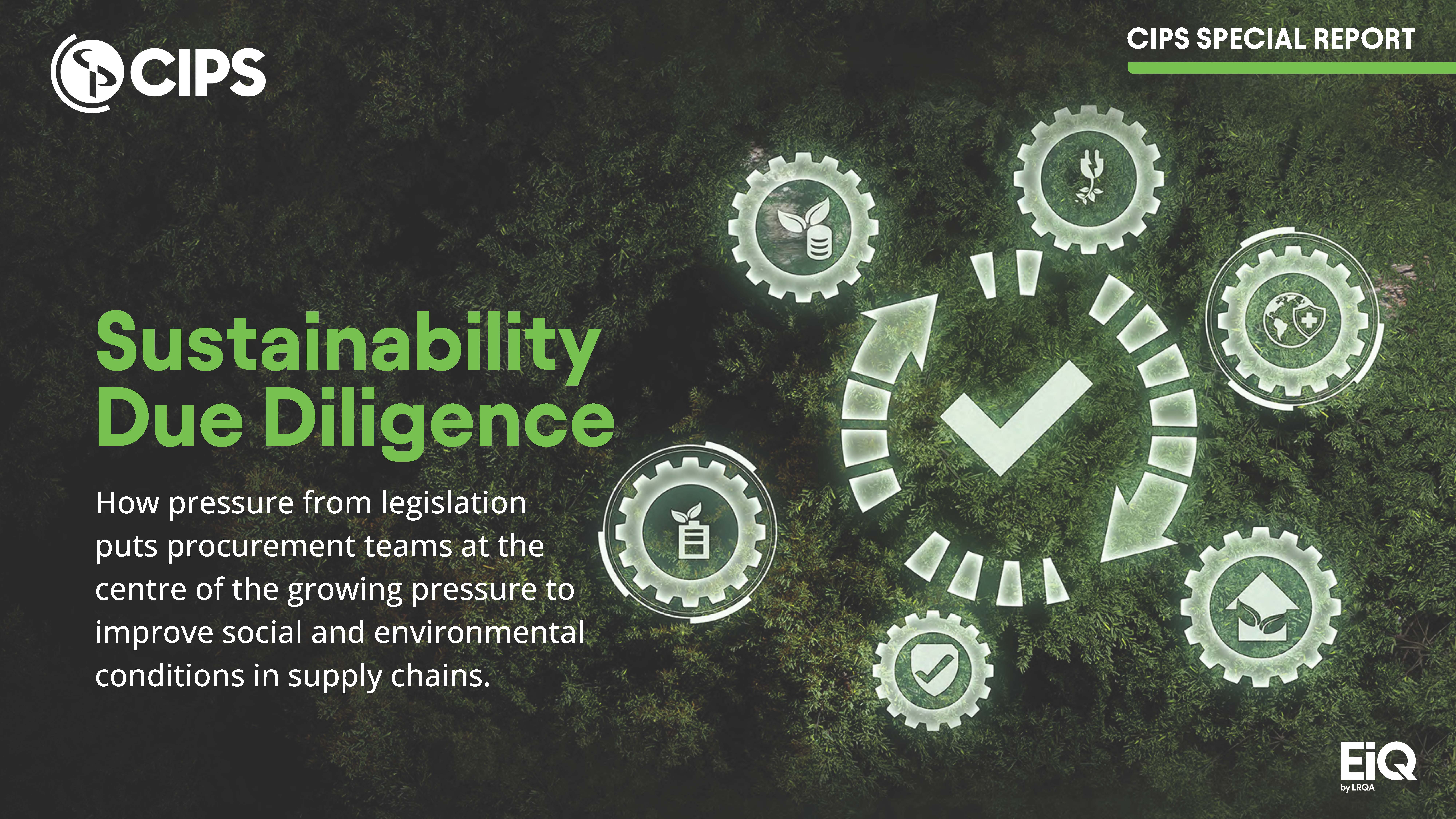 Cover for sustainability whitepaper, title is 'Sustainability Due Diligence' - CIPS special report